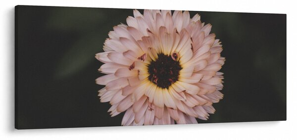 Tablou cu floare portocalie (120x50 cm)