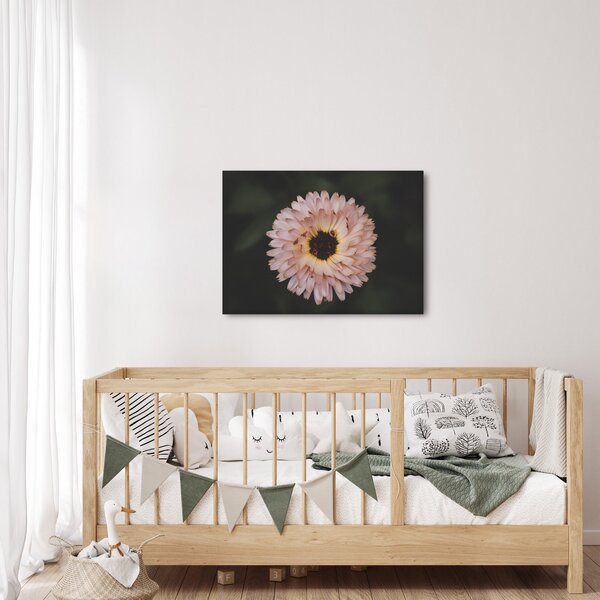 Tablou cu floare portocalie (70x50 cm)
