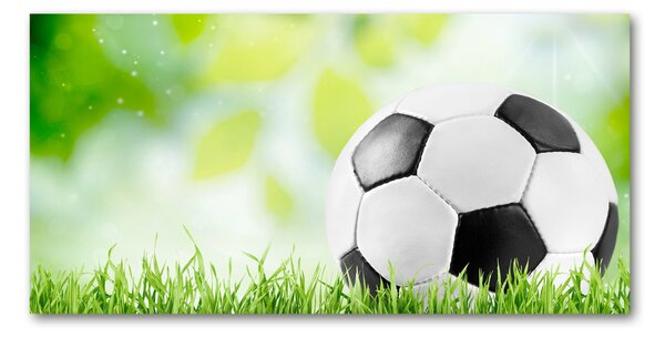Imagine de sticlă Fotbal