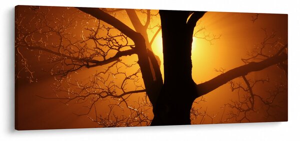 Tablou cu copac în apus de soare (120x50 cm)