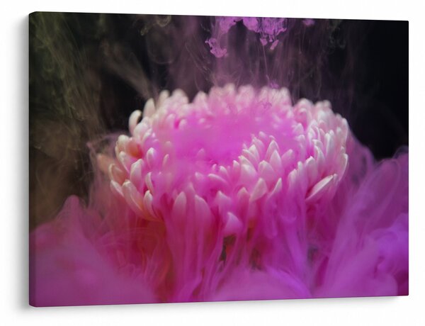 Tablou cu floare în fum roz (70x50 cm)