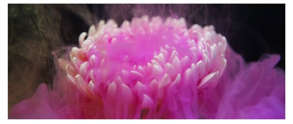 Tablou cu floare în fum roz (120x50 cm)