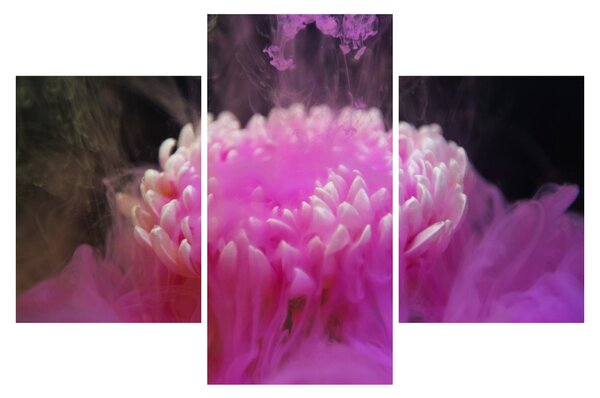 Tablou cu floare în fum roz (90x60 cm)