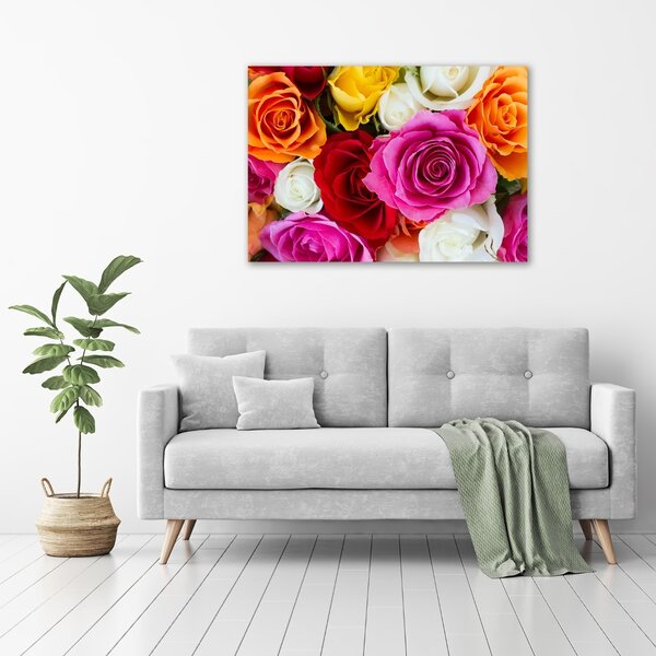 Tablou pe pânză canvas trandafiri colorați