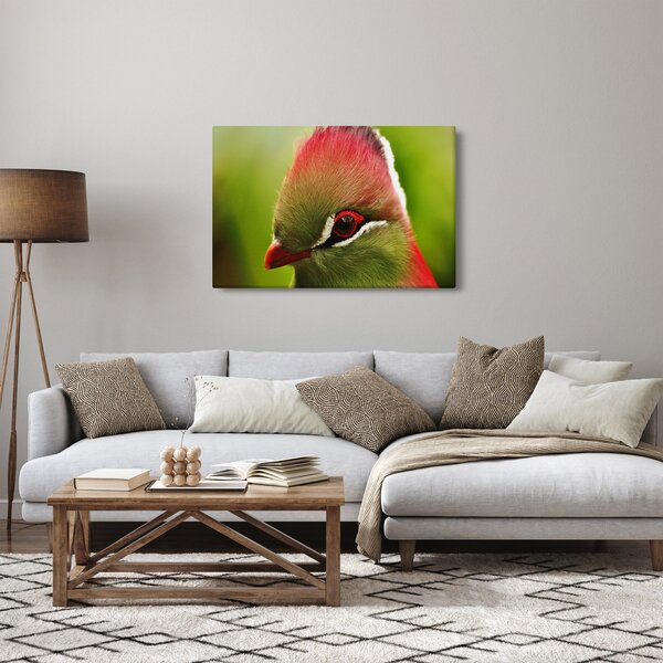 Tablou cu pasărea colorată (90x60 cm)