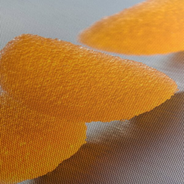Tablou cu mandarine (90x60 cm)
