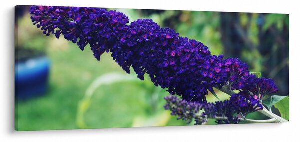 Tablou cu floare albastră (120x50 cm)
