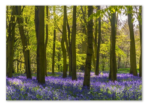 Tablou din Sticlă primăvară pădure
