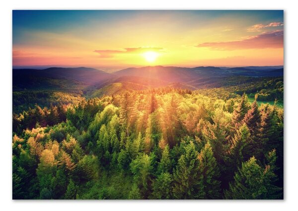 Fotografie imprimată pe sticlă apus de soare Forest