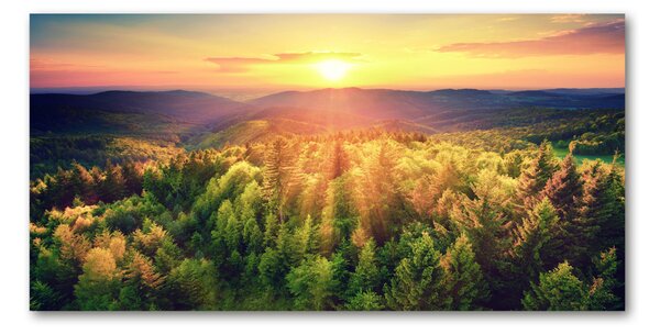 Fotografie imprimată pe sticlă apus de soare Forest