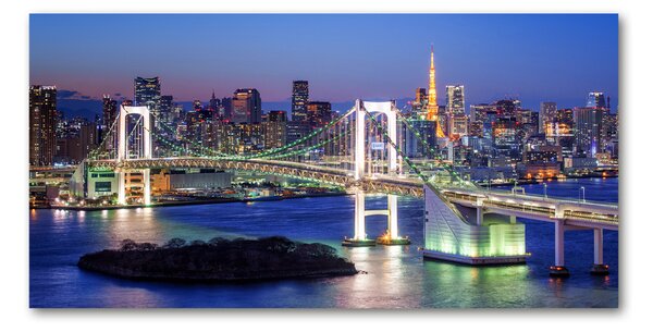 Fotografie imprimată pe sticlă Podul din Tokyo