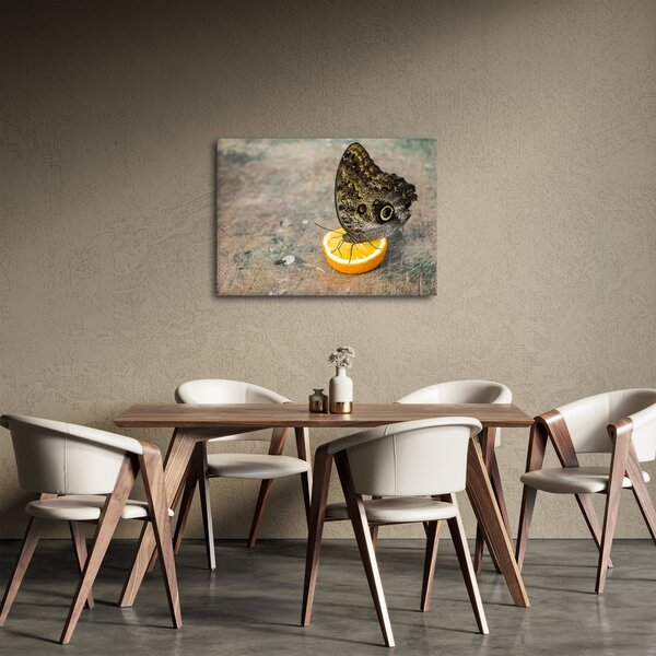 Tablou cu fluturi (70x50 cm)