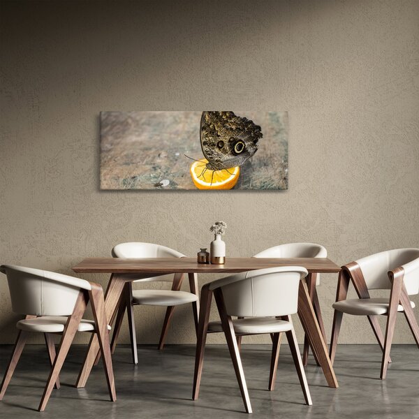 Tablou cu fluturi (120x50 cm)