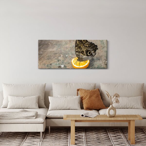 Tablou cu fluturi (120x50 cm)