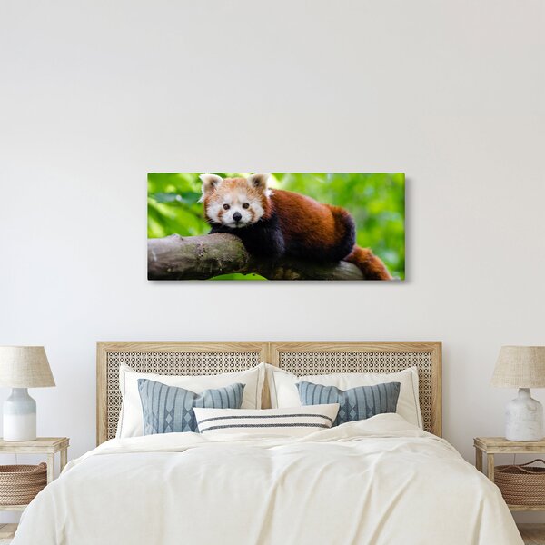Tablou cu panda roșie (120x50 cm)