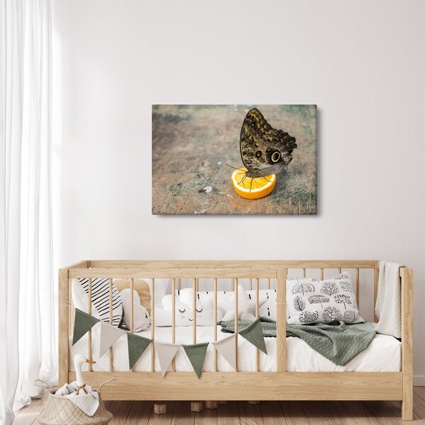 Tablou cu fluturi (90x60 cm)
