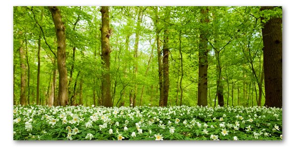 Tablou Printat Pe Sticlă Flori în pădure
