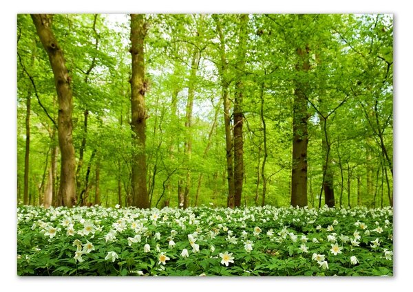 Tablou Printat Pe Sticlă Flori în pădure