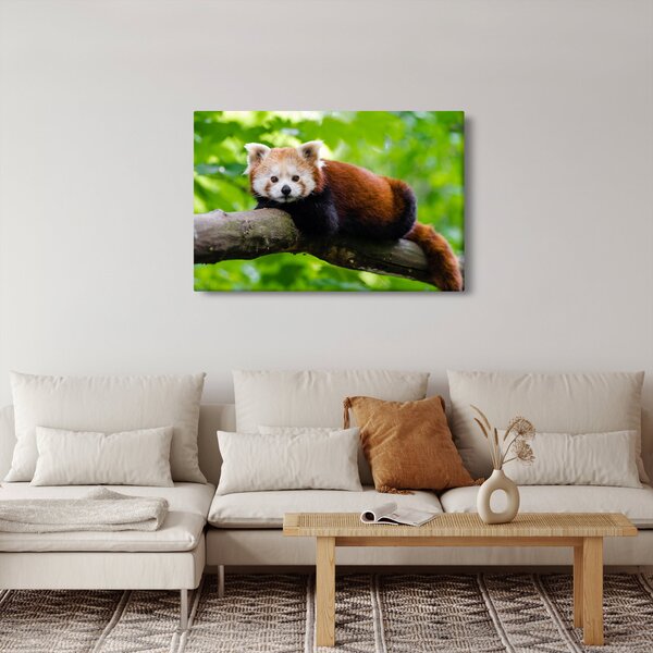 Tablou cu panda roșie (90x60 cm)