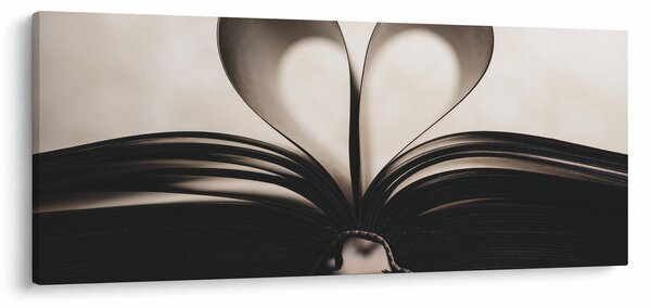 Tablou cu carte (120x50 cm)