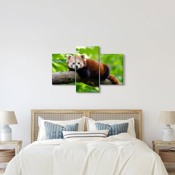 Tablou cu panda roșie (90x60 cm)