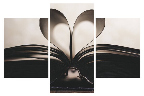 Tablou cu carte (90x60 cm)