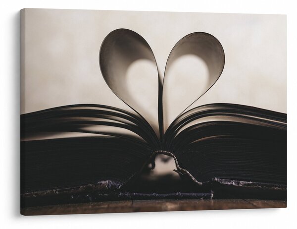 Tablou cu carte (70x50 cm)