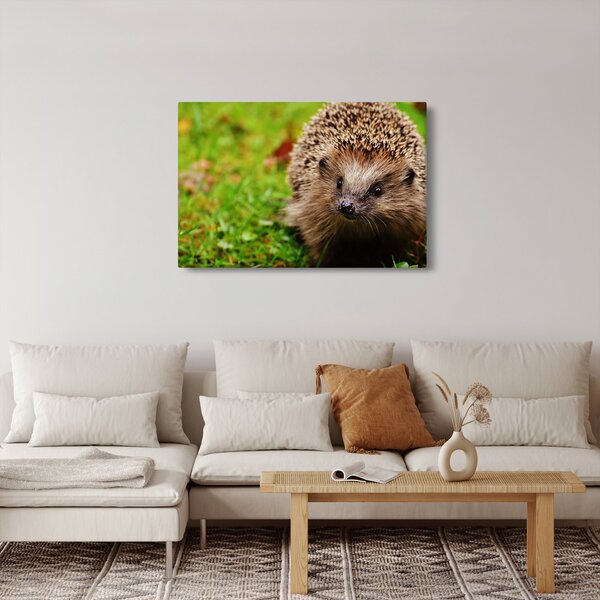 Tablou cu arici (90x60 cm)