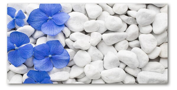 Fotografie imprimată pe sticlă Hortensie