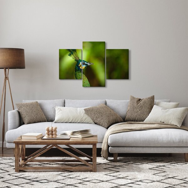 Tablou cu păun (90x60 cm)