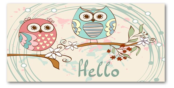 Tablou din Sticlă Owls
