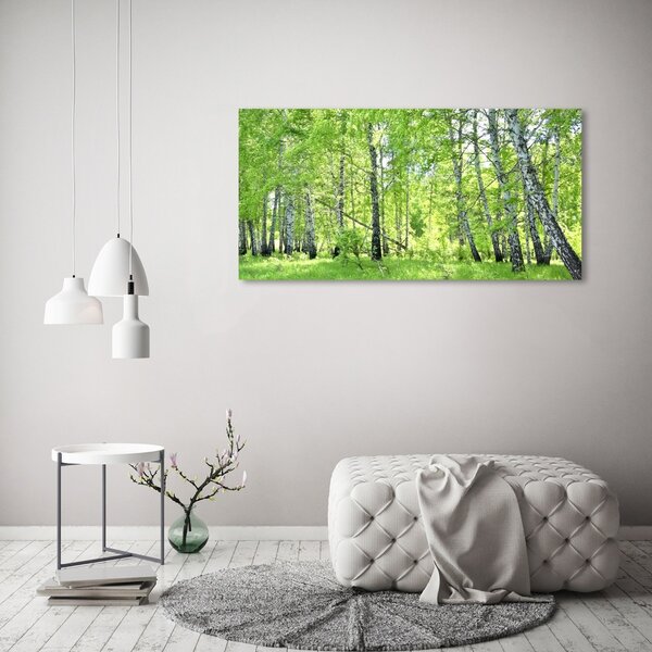 Imprimare tablou canvas pădurea de mesteacăn