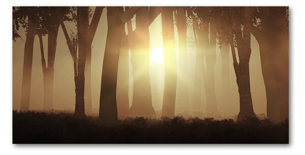 Fotografie imprimată pe sticlă Ceață în pădure