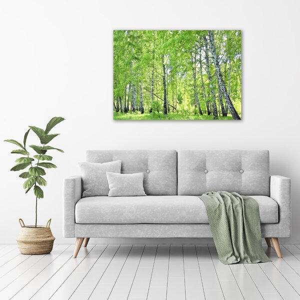 Imprimare tablou canvas pădurea de mesteacăn