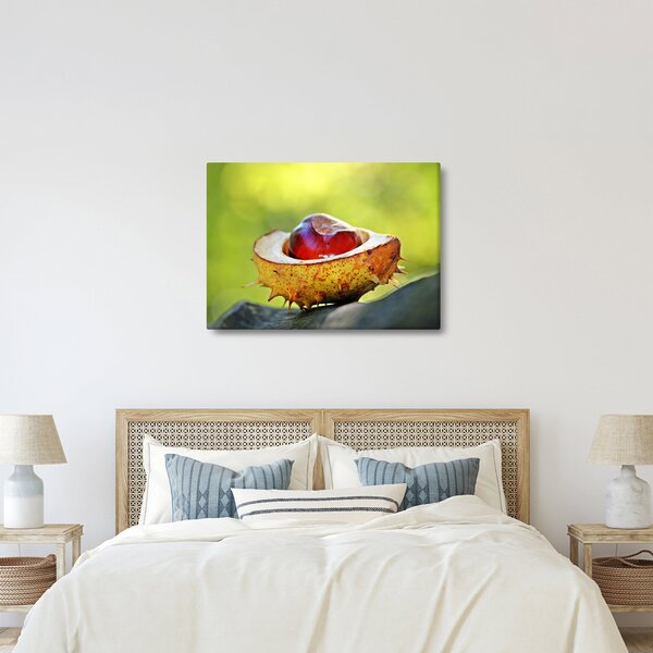 Tablou cu castani (70x50 cm)
