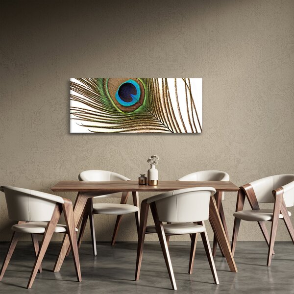 Tablou cu pene de păun (120x50 cm)