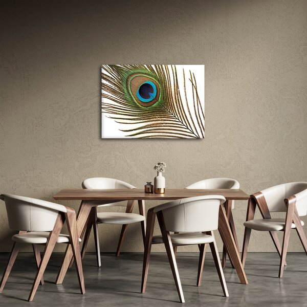 Tablou cu pene de păun (70x50 cm)