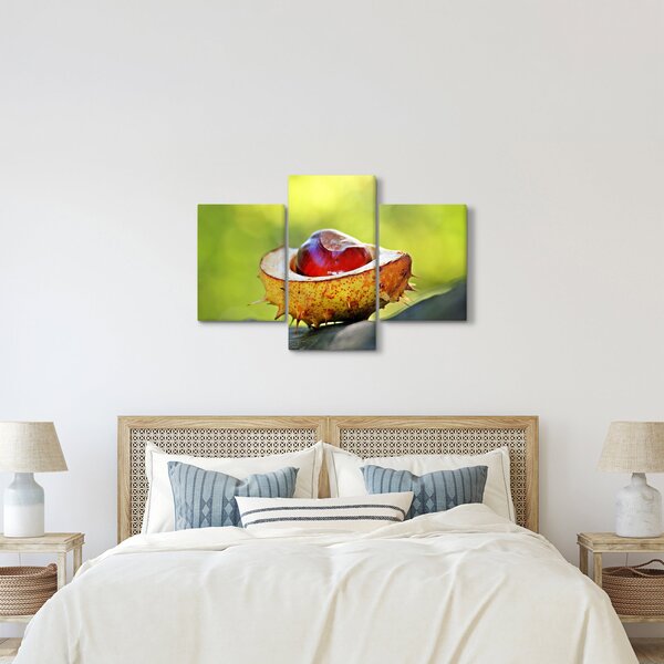 Tablou cu castani (90x60 cm)