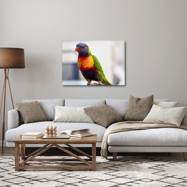 Tablou cu papagal (70x50 cm)