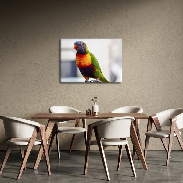 Tablou cu papagal (70x50 cm)