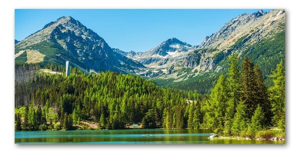Imagine de sticlă Lacul în munți