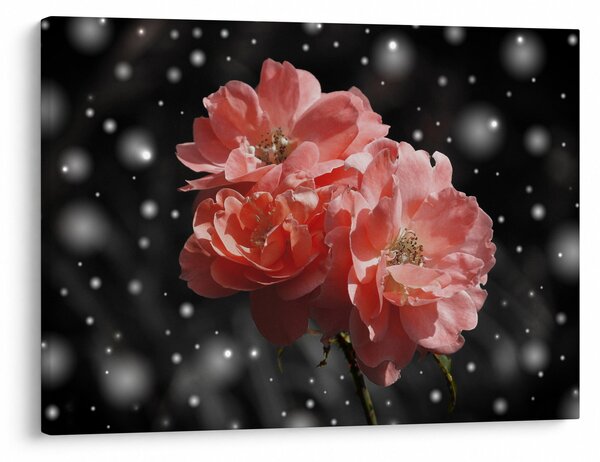 Tablou cu floare roz (70x50 cm)