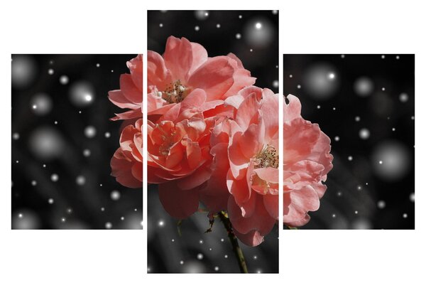 Tablou cu floare roz (90x60 cm)