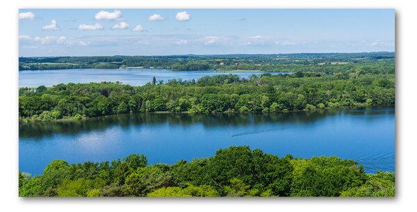 Tablou Printat Pe Sticlă Lake Forest