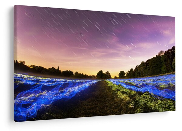 Tablou cu câmp colorat (90x60 cm)