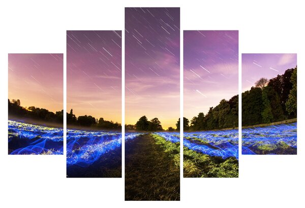 Tablou cu câmp colorat (150x105 cm)