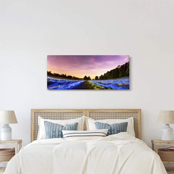 Tablou cu câmp colorat (120x50 cm)