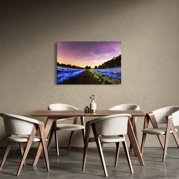 Tablou cu câmp colorat (90x60 cm)