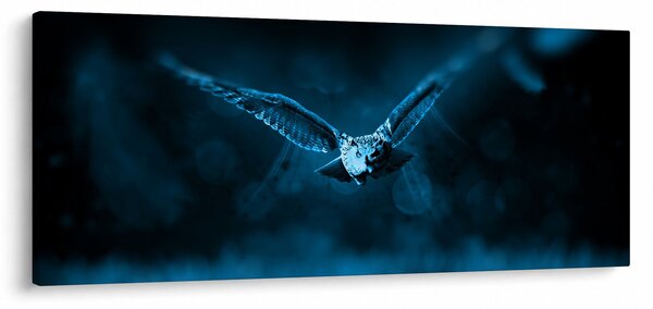 Tablou cu bufnița zburând (120x50 cm)