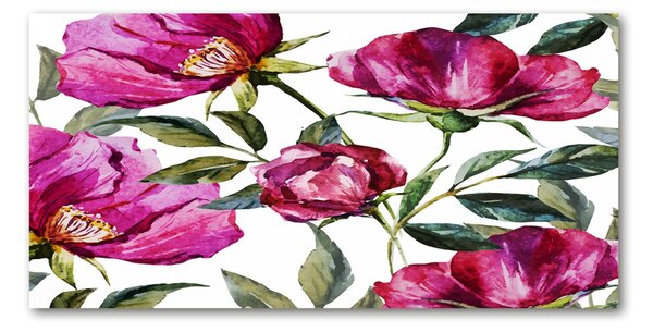 Tablou Printat Pe Sticlă bujori roz